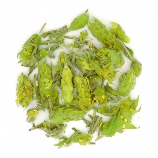 Griechischer Bergtee Bio