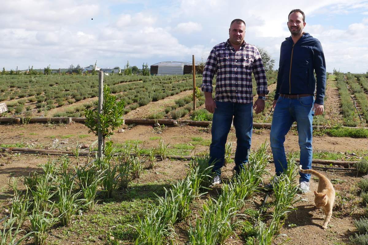 Blumen und Kräutergarten im Alentejo in Portugal