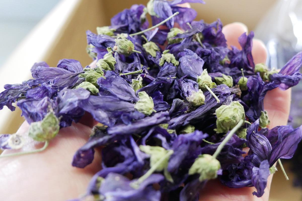 Getrocknete Malvenblüten