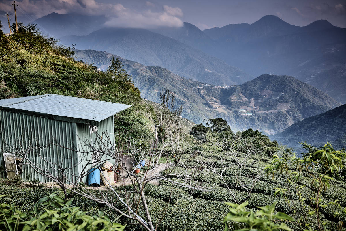 Jin Xuan Teegarten Taiwan
